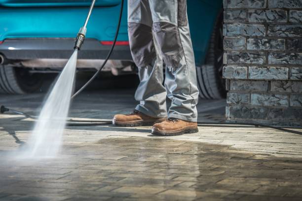 Best Fleet Vehicle Washing  in Lisle, IL