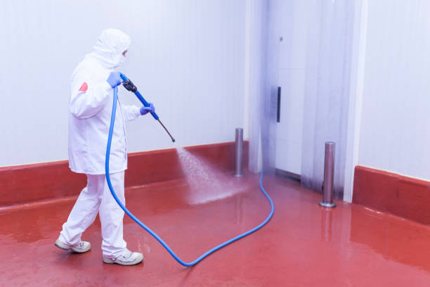 Best Building Exterior Washing  in Lisle, IL