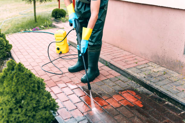 Best Animal Enclosure Cleaning  in Lisle, IL