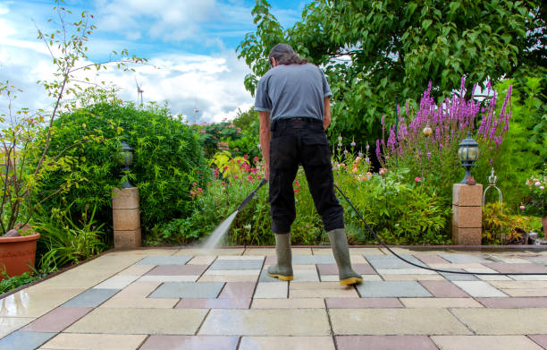 Trusted Lisle, IL Pressure Washing Services Experts